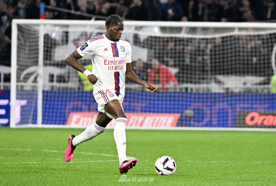 冠希望的象 冠希望的象